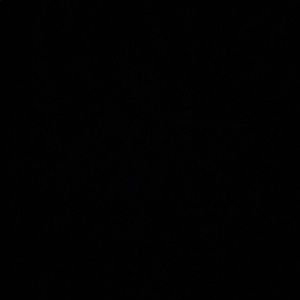 Meet your Posher, Shane